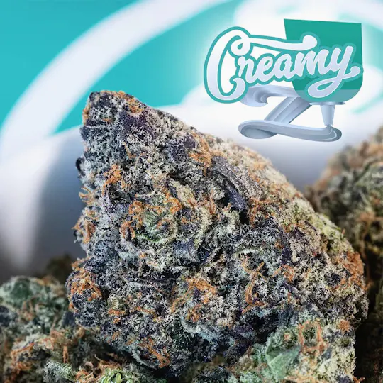 Seed Junky - Seed Junky | Creamy Z | Smalls | 14g - 1