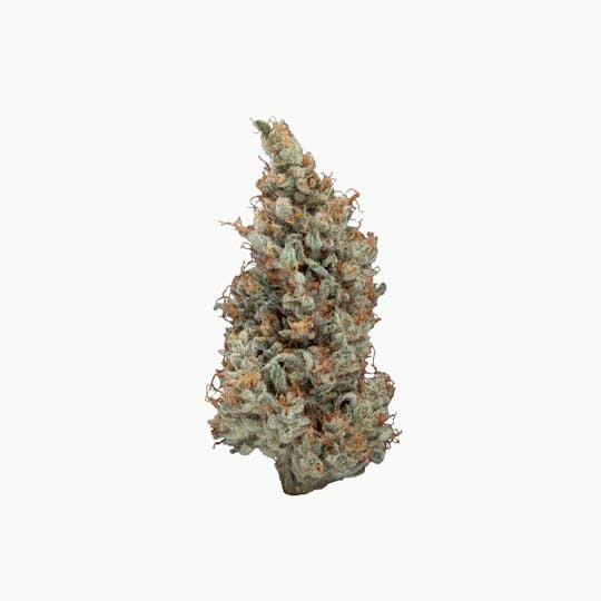 Jack Herer™ Brands - Sweet n Sour Jack - 1
