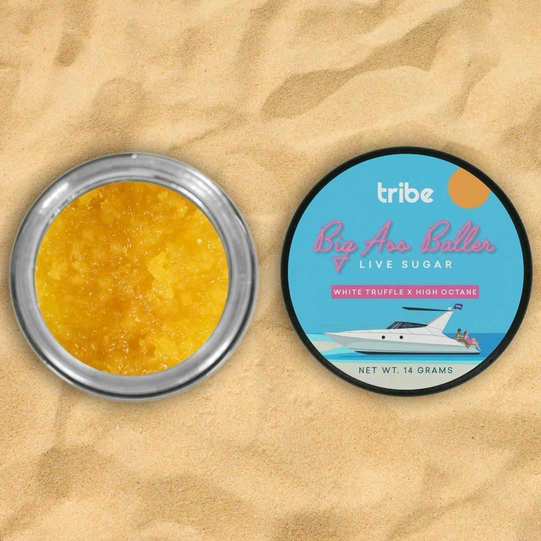Tribe - Tribe | Big Ass Baller | White Truffle x High Octane | Live Sugar | 14g - 1