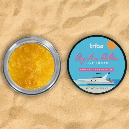 Tribe - Tribe | Big Ass Baller | White Truffle x High Octane | Live Sugar | 14g - 1