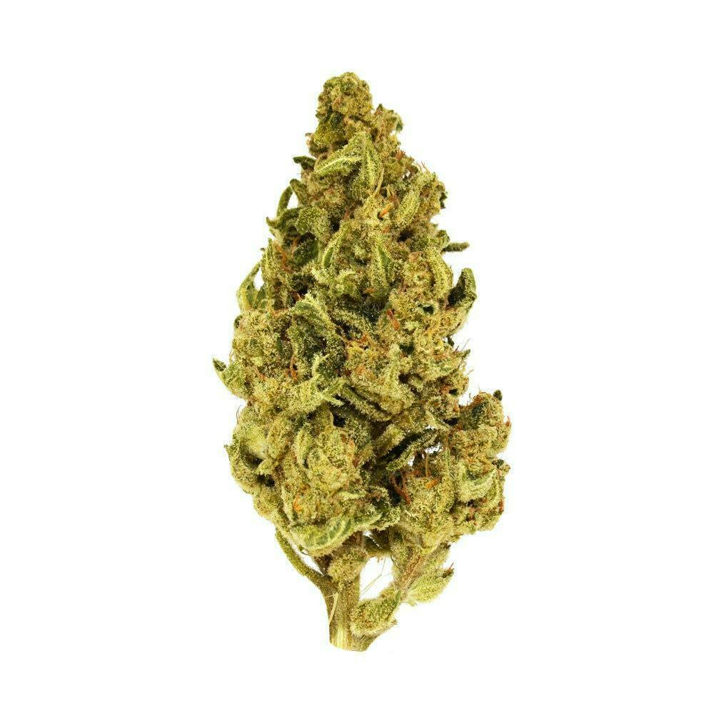 Smoakland - Smoakland | Candy Kush | Big Buds | 3.5g - 1