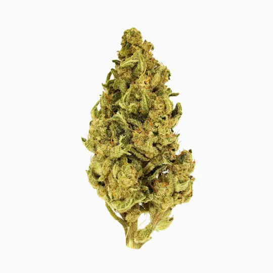 Smoakland - Smoakland | Candy Kush | Big Buds | 3.5g - 1