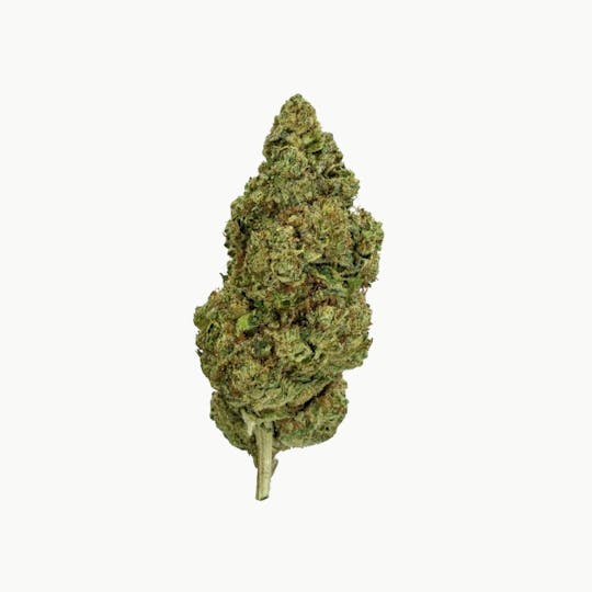 Hype Cannabis Co - London Truffle - Indoor Flower 3.5G - 1