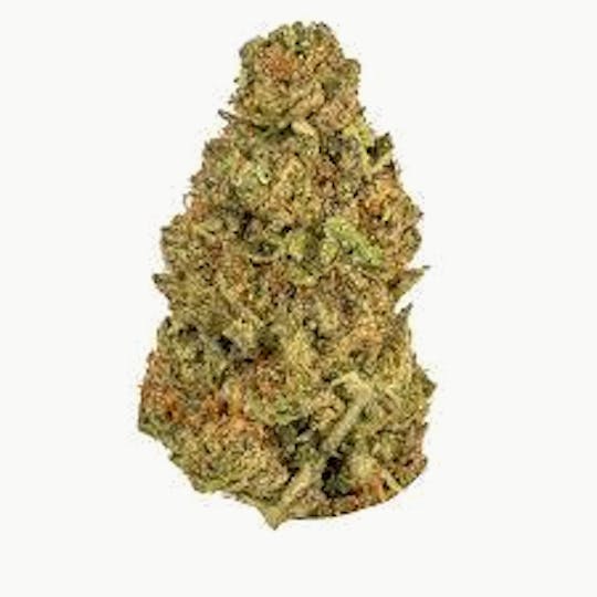 Hype Cannabis Co - Cookies - Indoor Flower 3.5G - 1