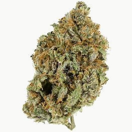 Hype Cannabis Co - Gelato #33 - Indoor Flower 3.5G - 1