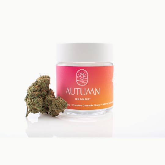 Autumn Brands - 3.5g Lemon Cookie Gelato - 1