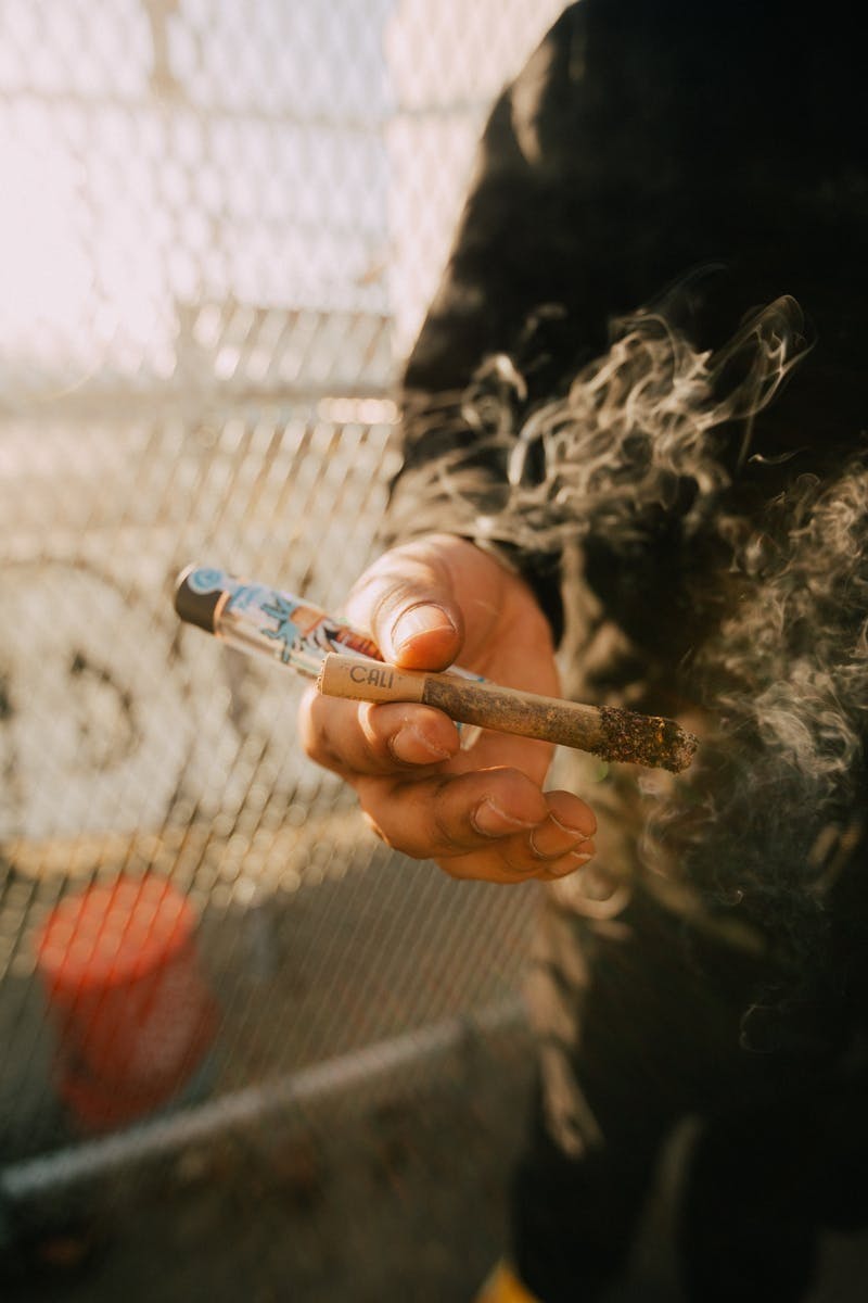 Cookies - Cookies - 2G Tarantula Rosin Roll - Mexican Flan - 1