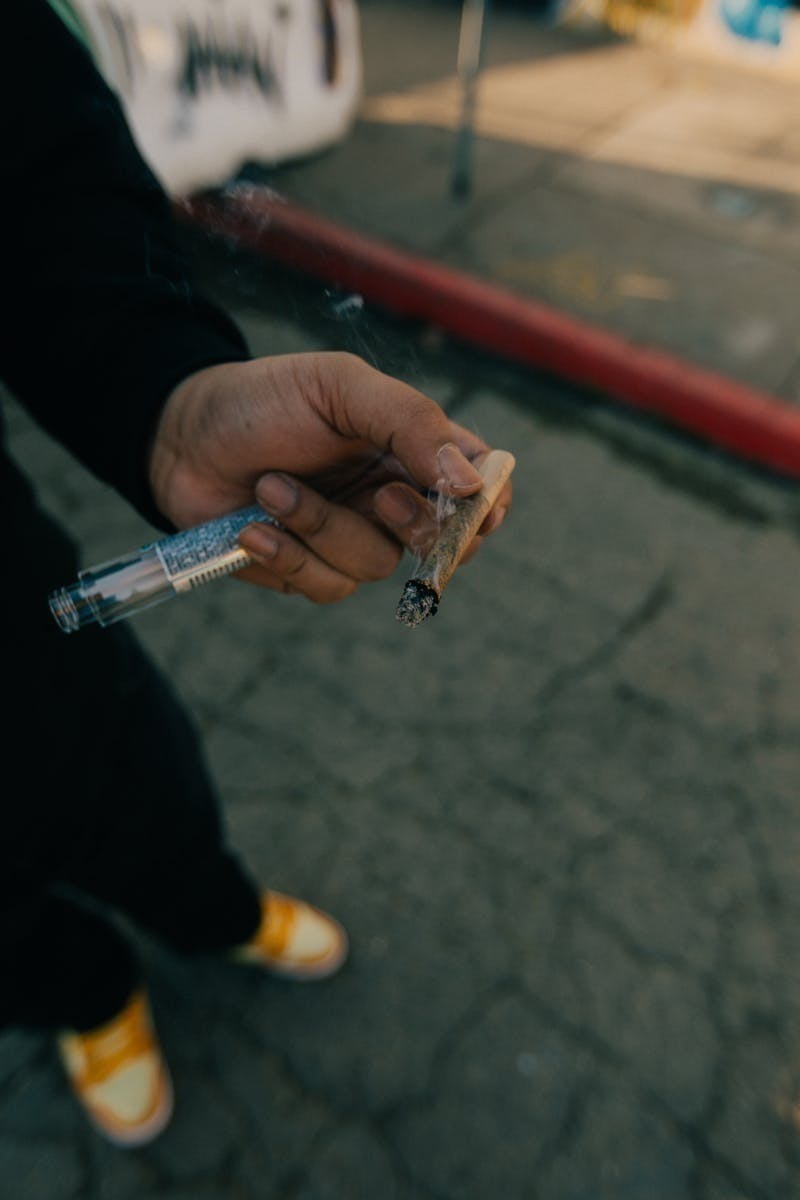 Cookies - Cookies | Mexican Flan | Tarantula Infused Joint | 2g - 1