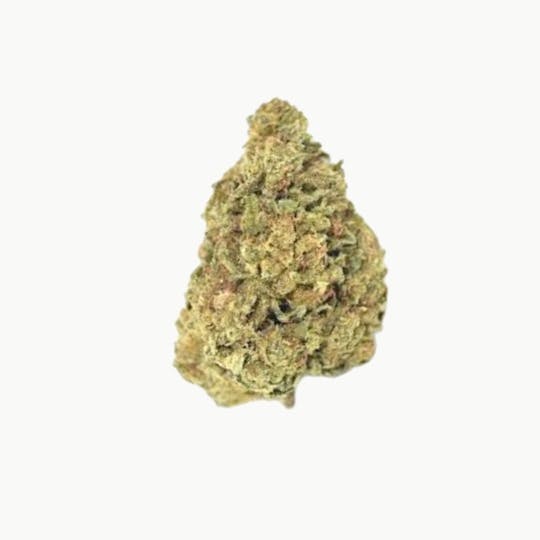 Hype Cannabis Co - Pablo's Revenge - Indoor Flower 3.5G - 1