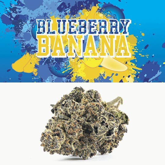 Cookies - Cookies - 3.5G Flower Tub - Blueberry Banana - 1