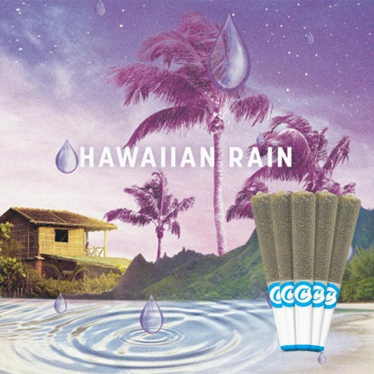 Cookies - Cookies - 5 Pack Infused Pre Roll - Hawaiian Rain - 1