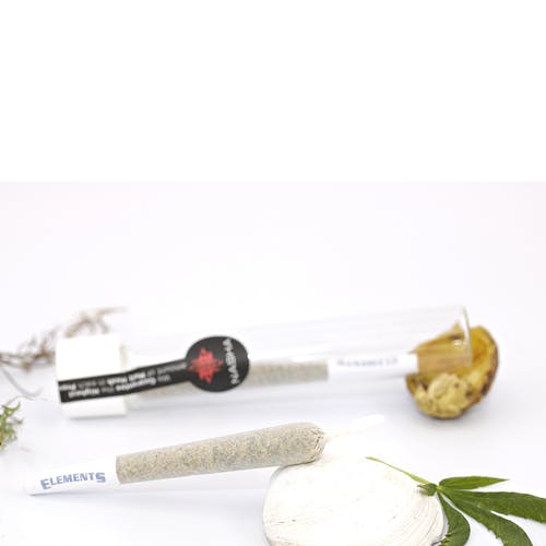 NASHA - Altitude 1 gram Preroll - Sour Diesel x Moroccan Peaches - 1