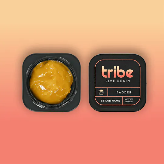 Tribe - Tribe | Rainbow Sherbet #11 | Live Badder | 1g - 1
