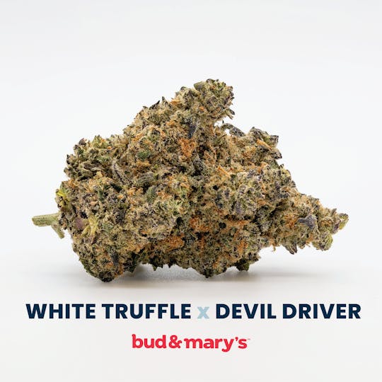 Bud & Mary's - White Truffle x Devil Driver - 1g Pre-roll - 1