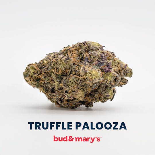 Bud & Mary's - Truffle Palooza - 1g Pre-roll - 1