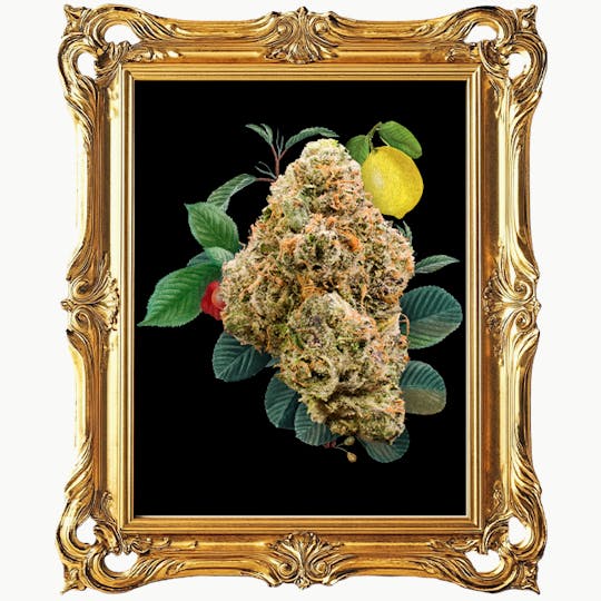 Goddess - Lemon Cherry Gelato 3.5G - 1