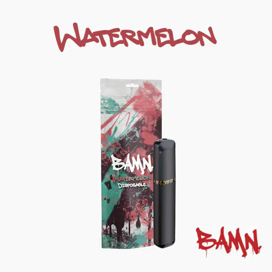 BAMN - Watermelon Vaporizer | 1g - 1