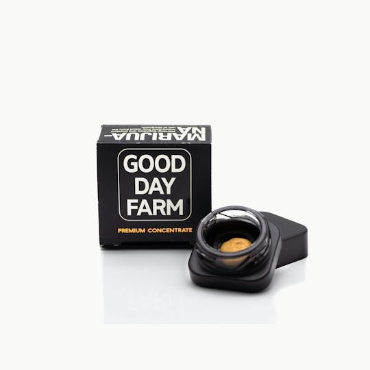 GOOD DAY FARM - GDF: Concentrate | Mint Chip Gelato | Badder | 1g - 1