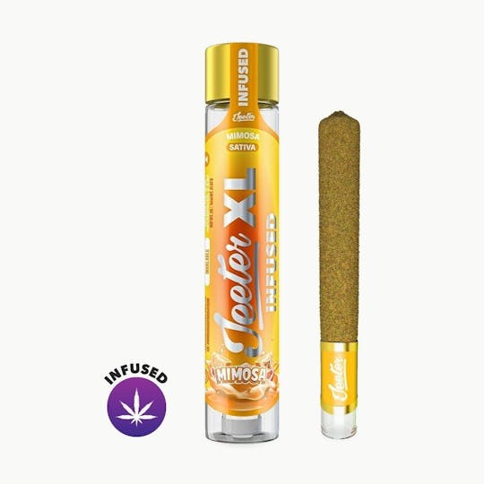 Jeeter - Jeeter XL Infused - Mimosa - 1
