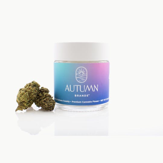 Autumn Brands - 3.5g Indica LA Pop Rockz - 1