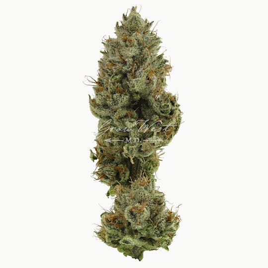 Grow West Cannabis Company - Strawberry Fields | Gold | Trimmed Flower - 1
