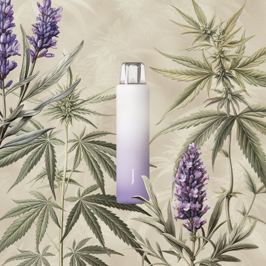 Juana - Juana Rest: Lavender Kush — All-in-One Botanical Vape 5:1:1 (1ml) - 1