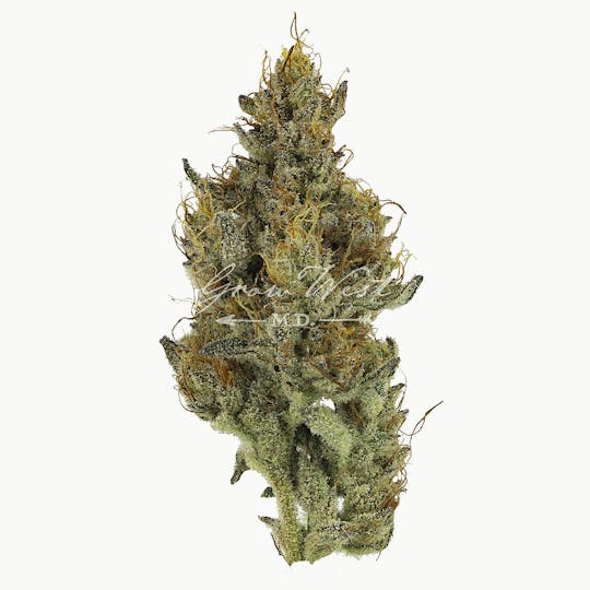 Grow West Cannabis Company - Goat Piss | Premium | Hand-Trimmed Flower - 1