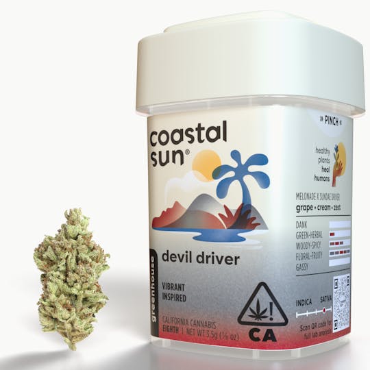Coastal Sun - Devil Dri ver Greenhouse Flower 3.5g - 1