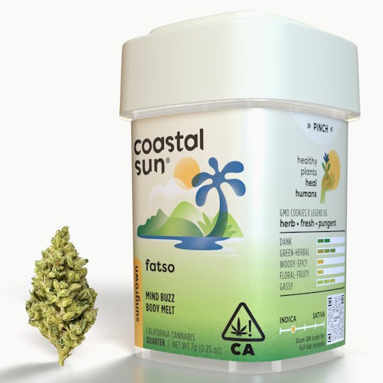 Coastal Sun - Fatso Sungrown Flower 7g - 1