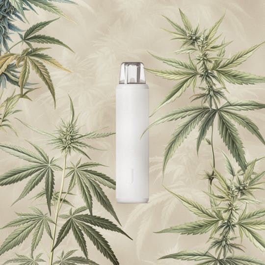 Juana - Juana Arouse: Strawberry Cough — All-in-One Live Resin Vape (1G) - 1