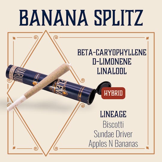 Elevate Missouri - Banana Splitz - 1g Cone - 1