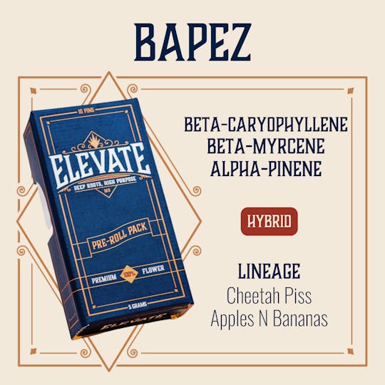 Elevate Missouri - Bapez - 5g Pin Pack - 1