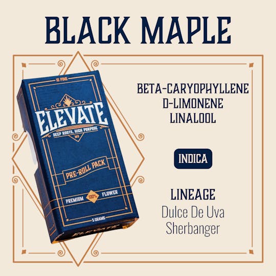 Elevate Missouri - Black Maple - 5g Pin Pack - 1