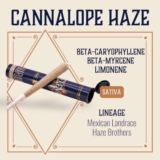 Elevate Missouri - Cannalope Haze - 1g Cone - 1