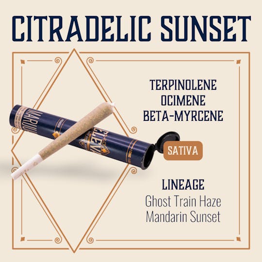 Elevate Missouri - Citradelic Sunset - 1g Cone - 1