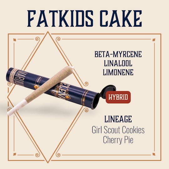 Elevate Missouri - Fatkids Cake - 1g Cone - 1
