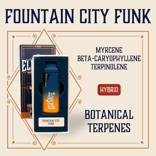 Elevate Missouri - Fountain City Funk - 0.5g Botanical Terpenes Disposable - 1