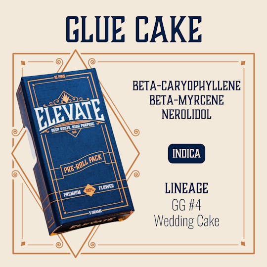 Elevate Missouri - Glue Cake - 5g Pin Pack - 1