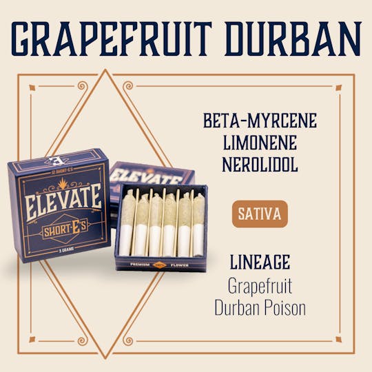 Elevate Missouri - Grapefruit Durban - 3g ShortEs - 1