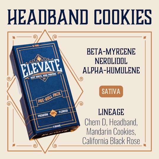 Elevate Missouri - Headband Cookies - 5g Pin Pack - 1