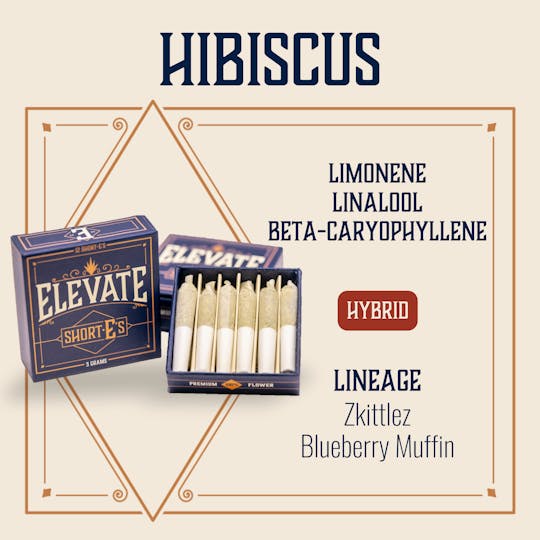 Elevate Missouri - Hibiscus - 3g ShortEs - 1