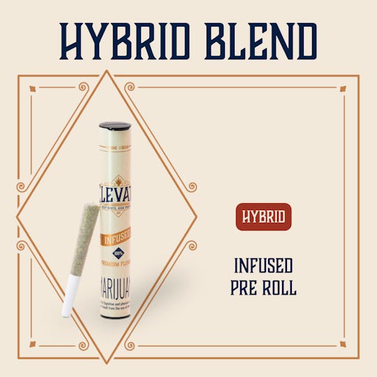 Elevate Missouri - Hybrid - 1g Infused Pre-Roll - 1