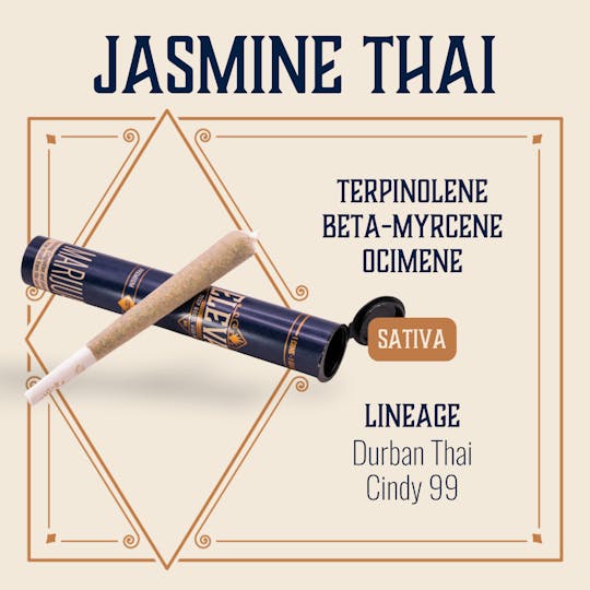 Elevate Missouri - Jasmine Thai - 1g Cone - 1