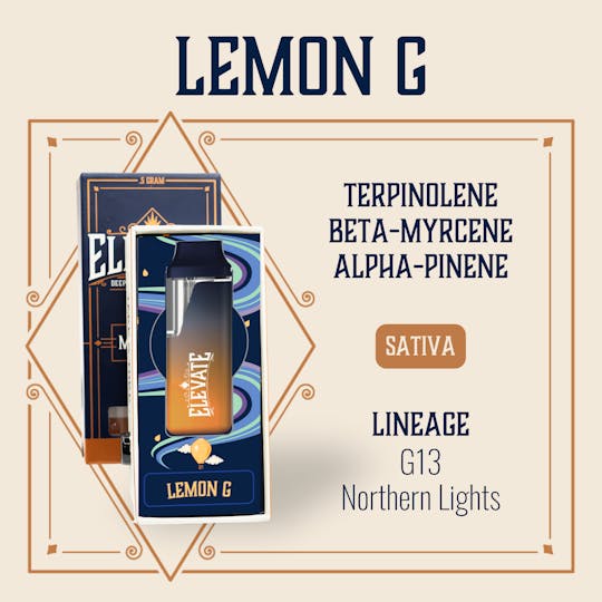 Elevate Missouri - Lemon G - 0.5g Disposable - 1