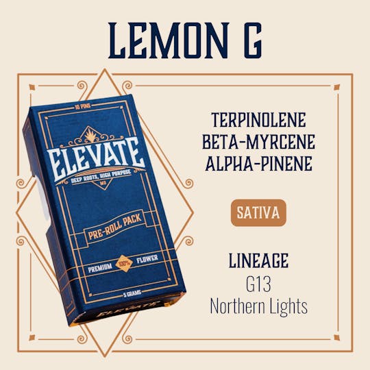 Elevate Missouri - Lemon G - 5g Pin Pack - 1