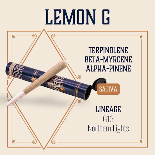 Elevate Missouri - Lemon G - 1g Cone - 1