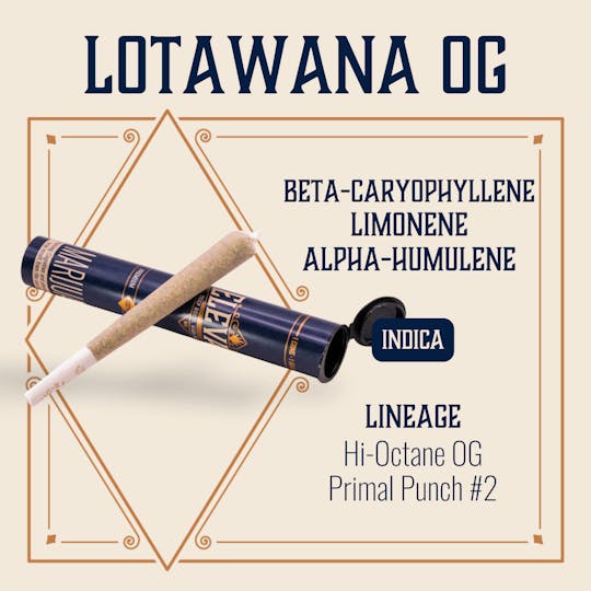 Elevate Missouri - Lotawana - 1g Cone - 1