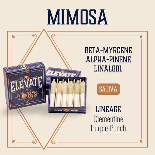 Elevate Missouri - Mimosa - 3g ShortEs - 1