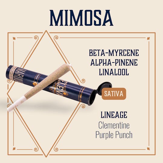 Elevate Missouri - Mimosa - 1g Cone - 1