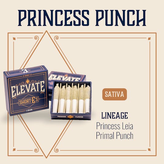 Elevate Missouri - Princess Punch - 3g ShortEs - 1